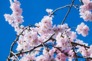 男性の陰部の汗の匂い対策にはどんな方法がある？