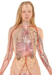 敏感肌のワキガに効果的な皮膚科の薬はいくら？
